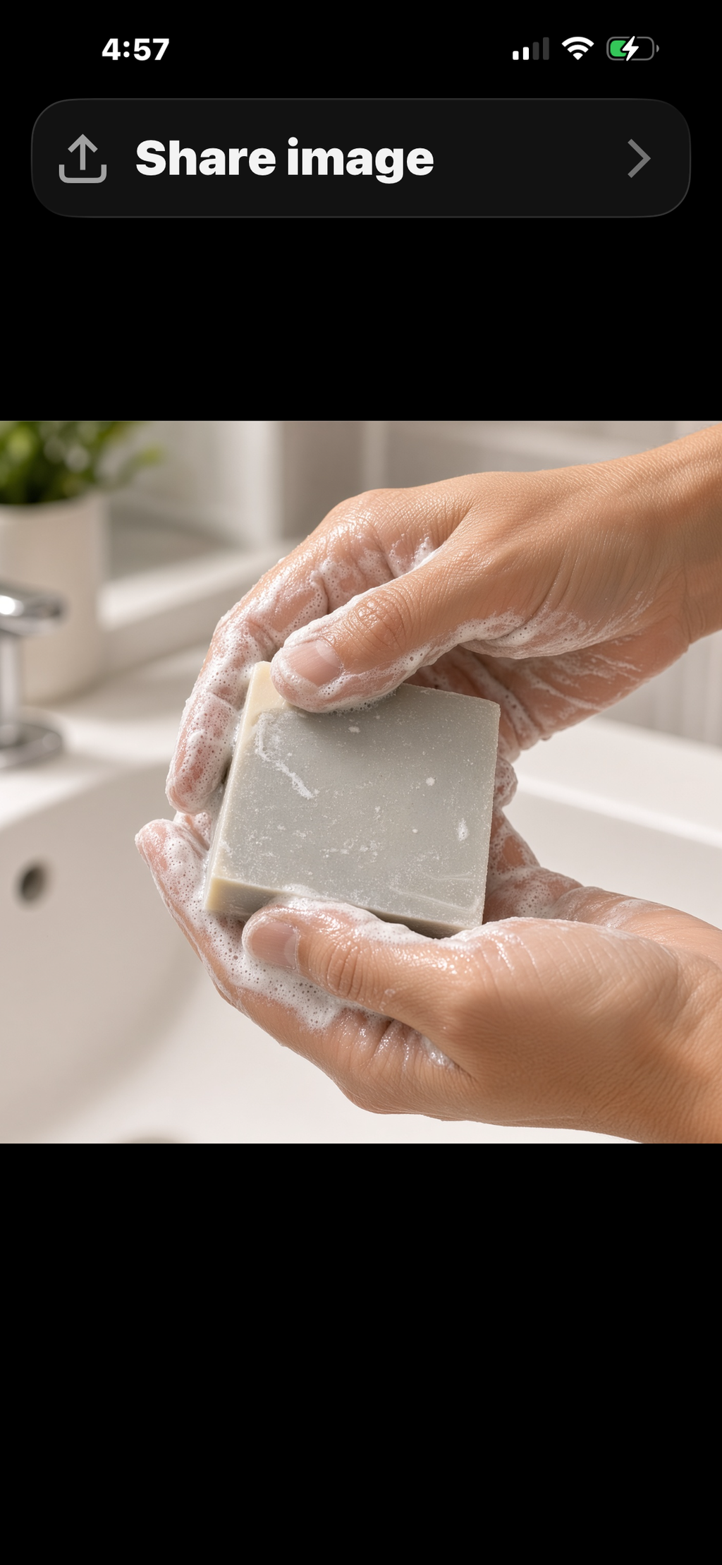 Clean Slate Head to toe Soap bar