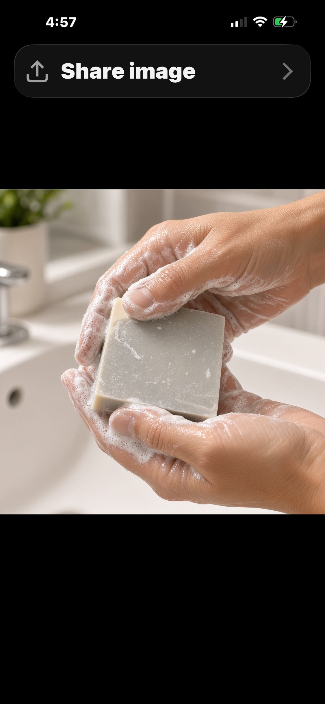 Clean Slate Head to toe Soap bar